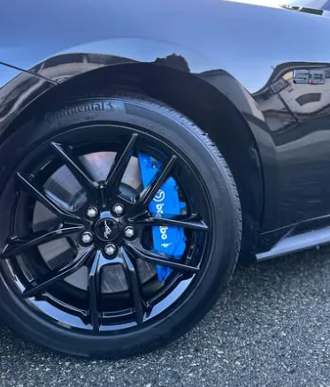 Wheel and brake caliper detail